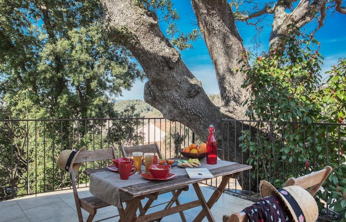 Domaine Ghjulia Apartment Patrimonio Ngoại thất bức ảnh