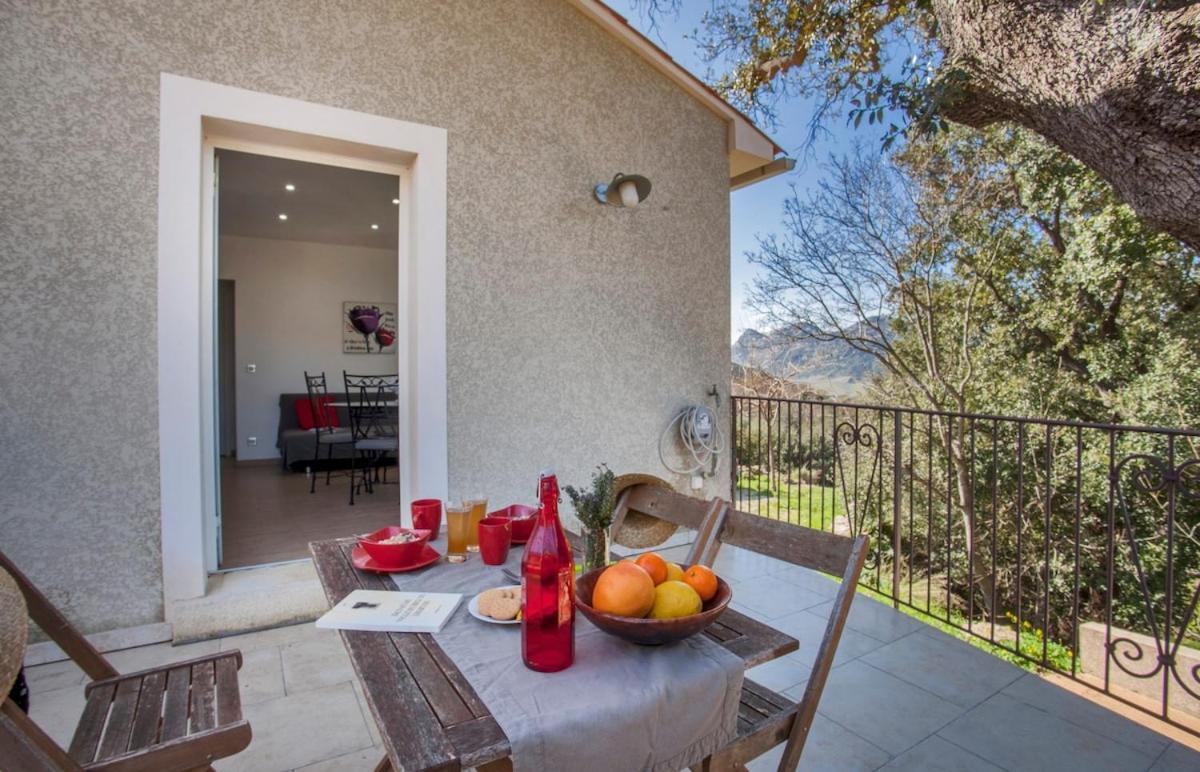 Domaine Ghjulia Apartment Patrimonio Ngoại thất bức ảnh